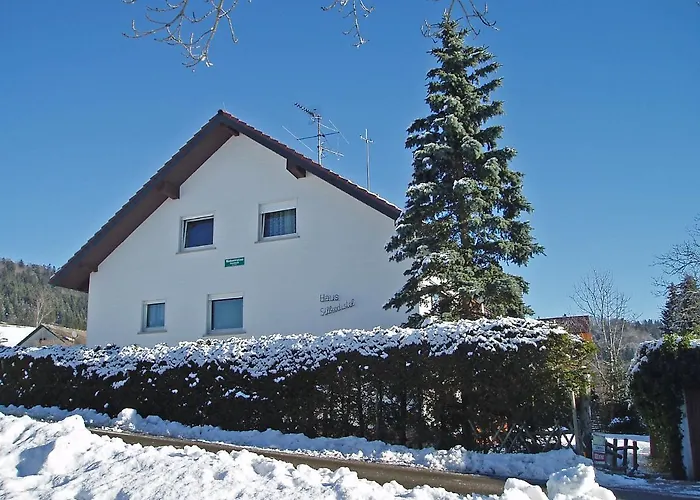 Haus Silberdistel By Interhome Appartamento *